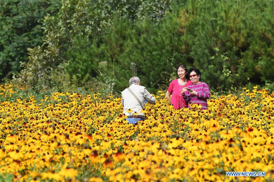 Huyan Village in Shanxi Develops Rural Scenic Spot to Boost 