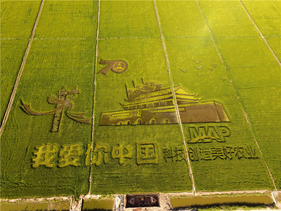 Farmers Celebrate Harvest and 70 Year Anniversary